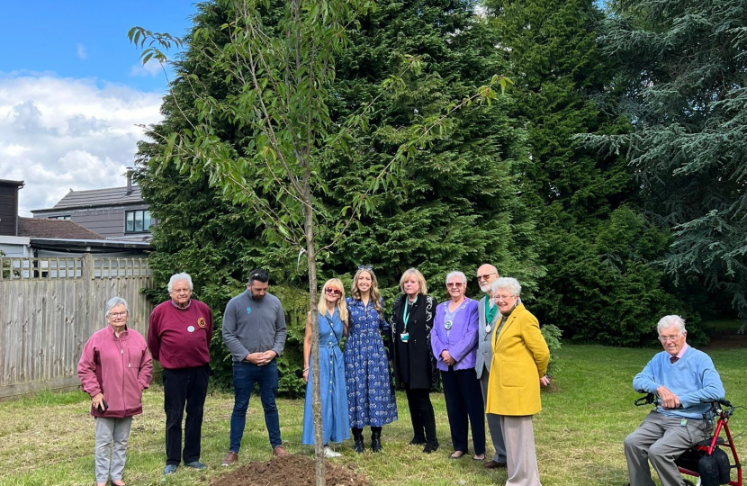 Tree planting 